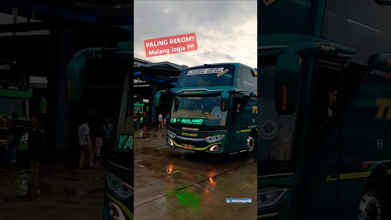 PALING REKOM DI RUTE MALANG JOGJA🔥🔥 Bus Tividi 