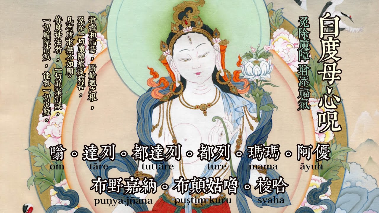 【白度母心咒 The Mantra of White Tara 】180分鐘。消除病因災劫，增長壽命及福慧，斬斷輪迴之根，免除魔障瘟疫，凡有所求無不如願。| 開悟合一