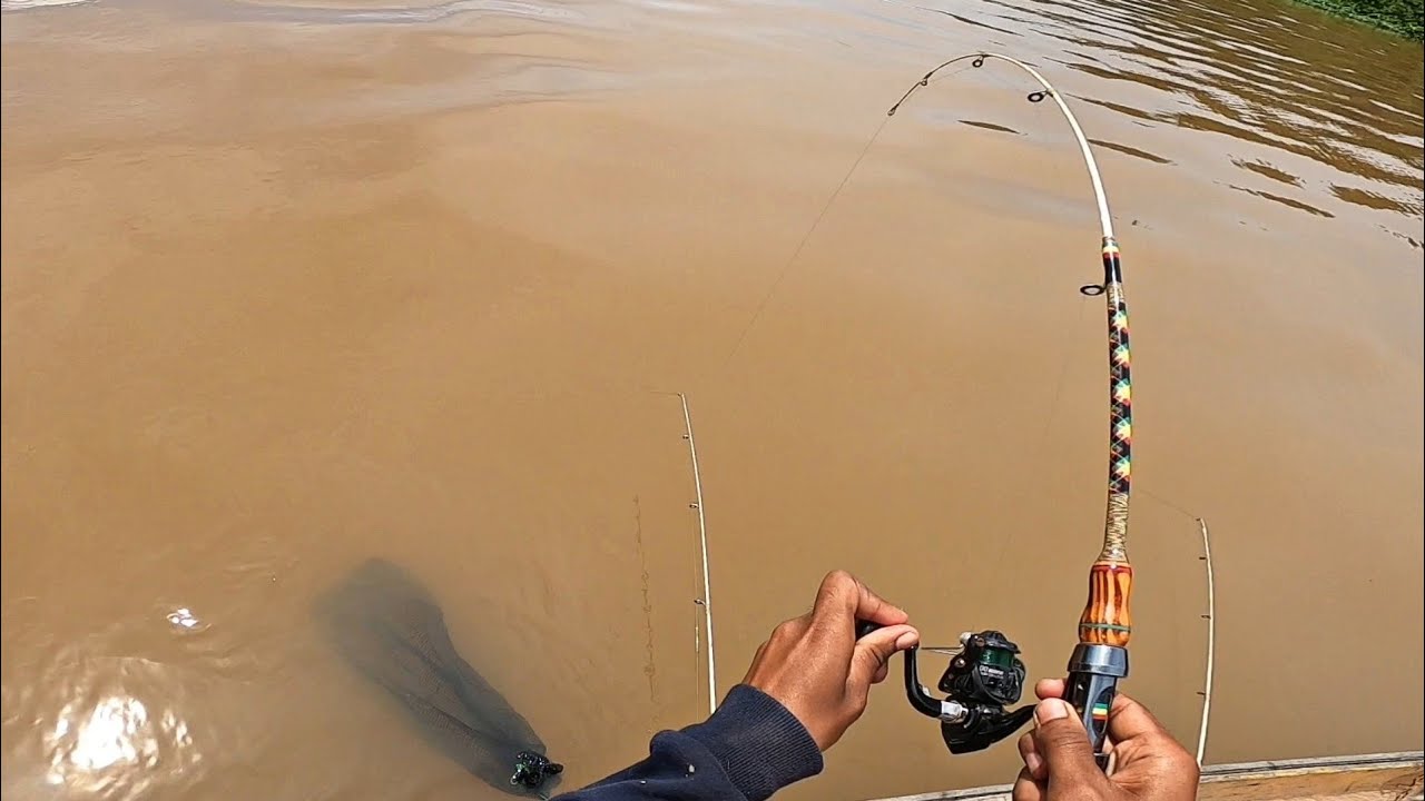 EDAN! TARIKAN UDANG GALA MONSTER BIKIN JORAN MELENGKUNG PARAH!