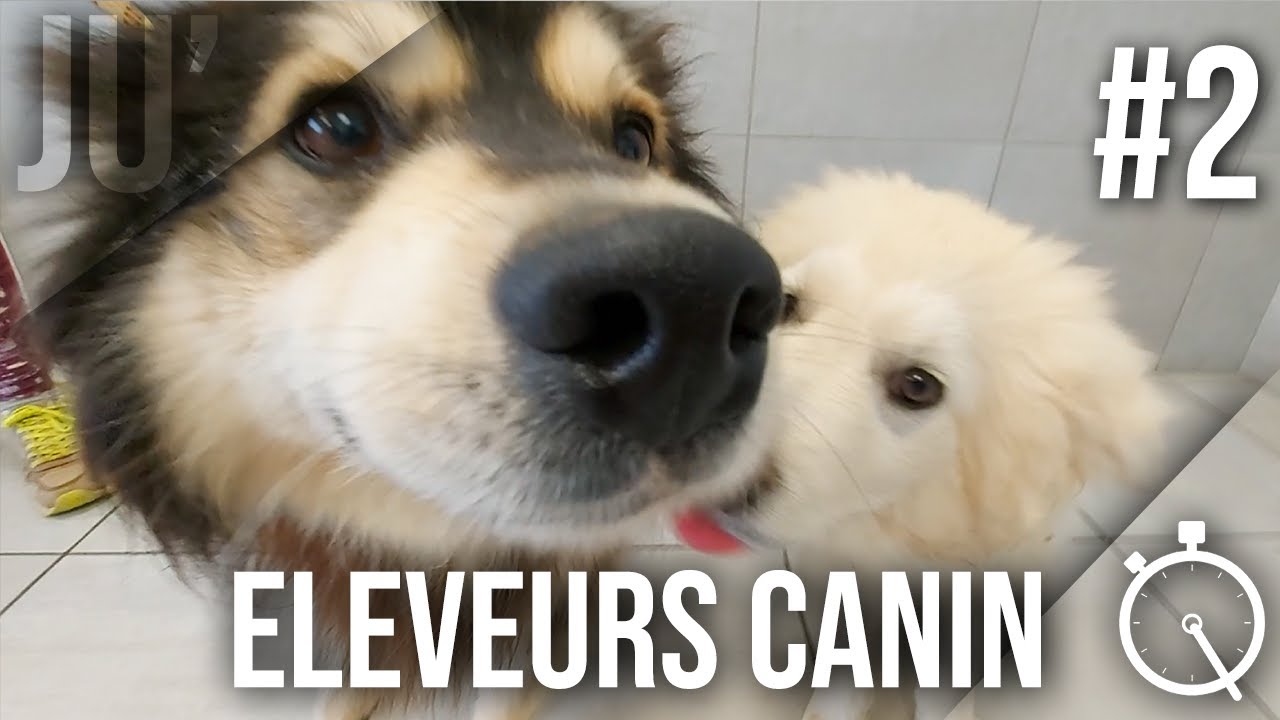 LQD #02 : Eleveurs canin (leur quotidien)