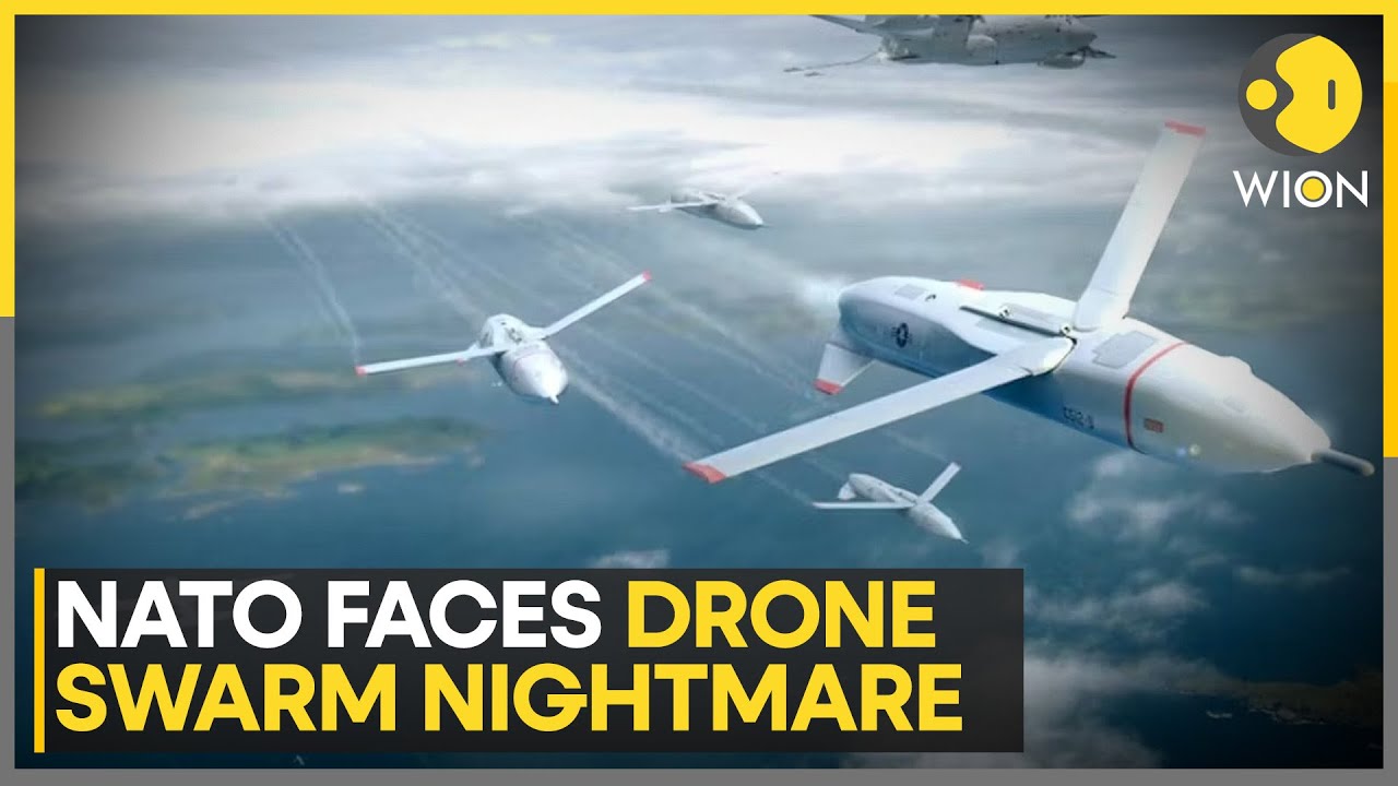 Poland-Russia Tensions: Russia Dismisses Western 'Rhetoric' About Drones In Poland | WION