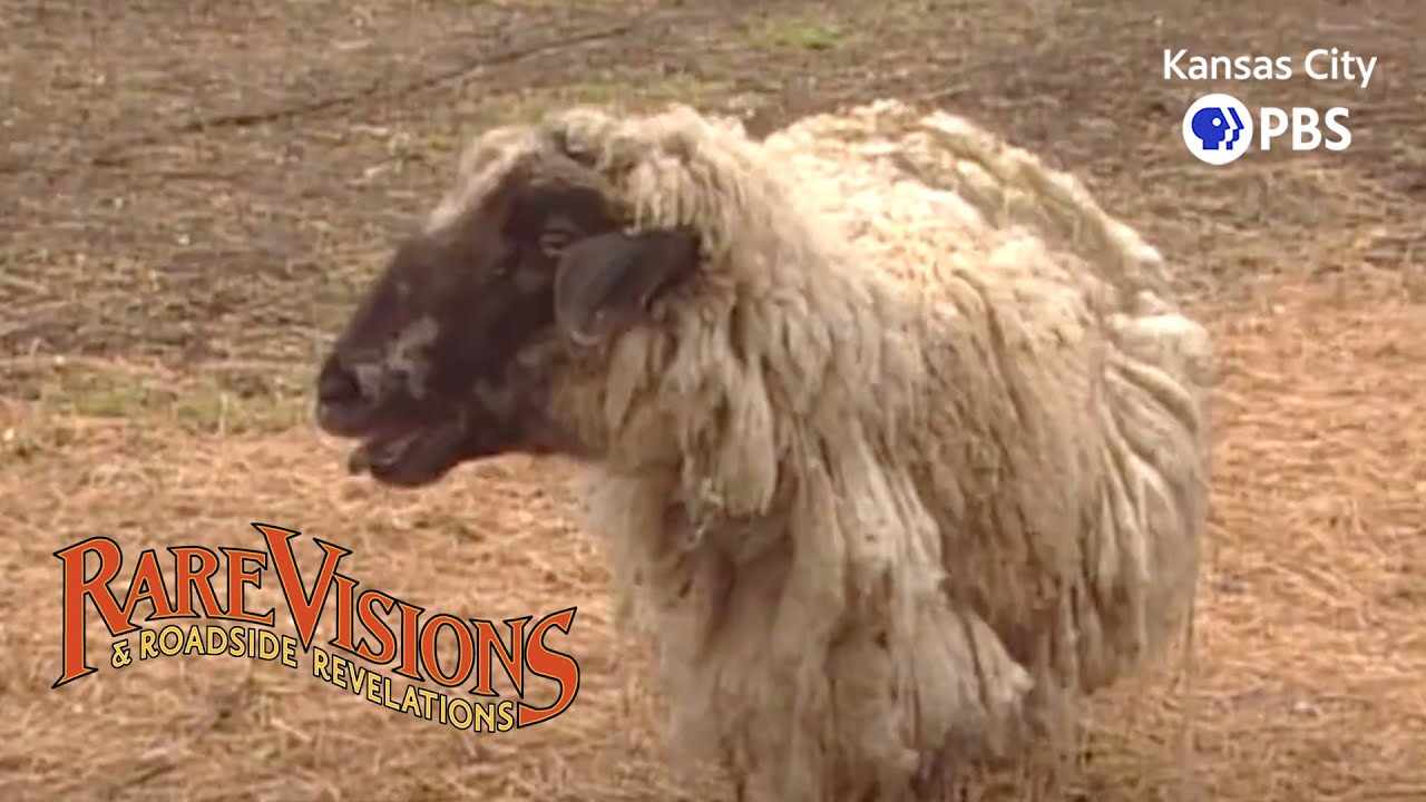 Baraboo, WI, to Phillips, WI | Rare Visions & Roadside Revelations, Ep. 305