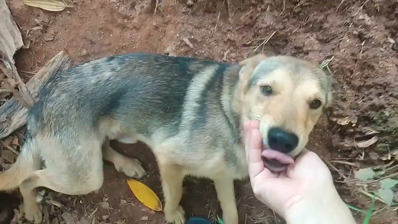 Vem conhece meu paraíso 