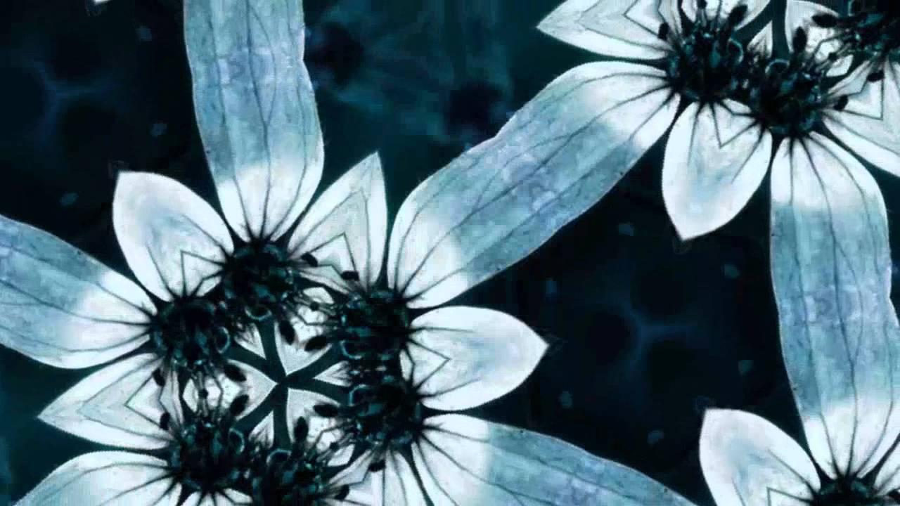 The Cranberries - Will You Remember [Lyrics]