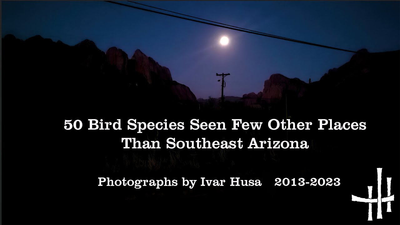50 Bird Species Seen Few Other Places than Southeast Arizona