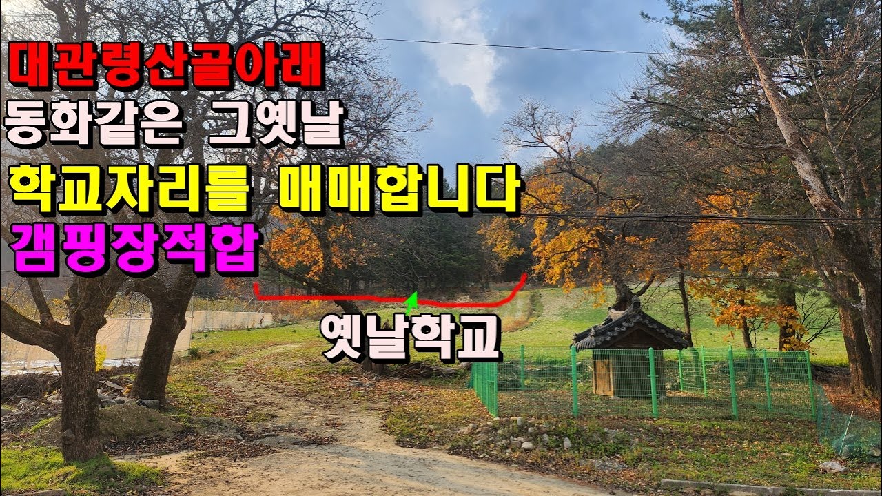 (강릉)대관령 산골아래 동화같은 그옛날 학교였던 자리를 매매합니다/캠핑장가능/수백년된 전나무가가득/강이흐르며 산골마을이훤히 보이는터/강릉부동산매매/강릉토지매매/강릉산골토지