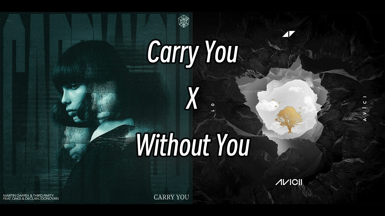 Avicii X Martin Garrix & Third ≡ Party - Without Carry You(Pupil Mashup)