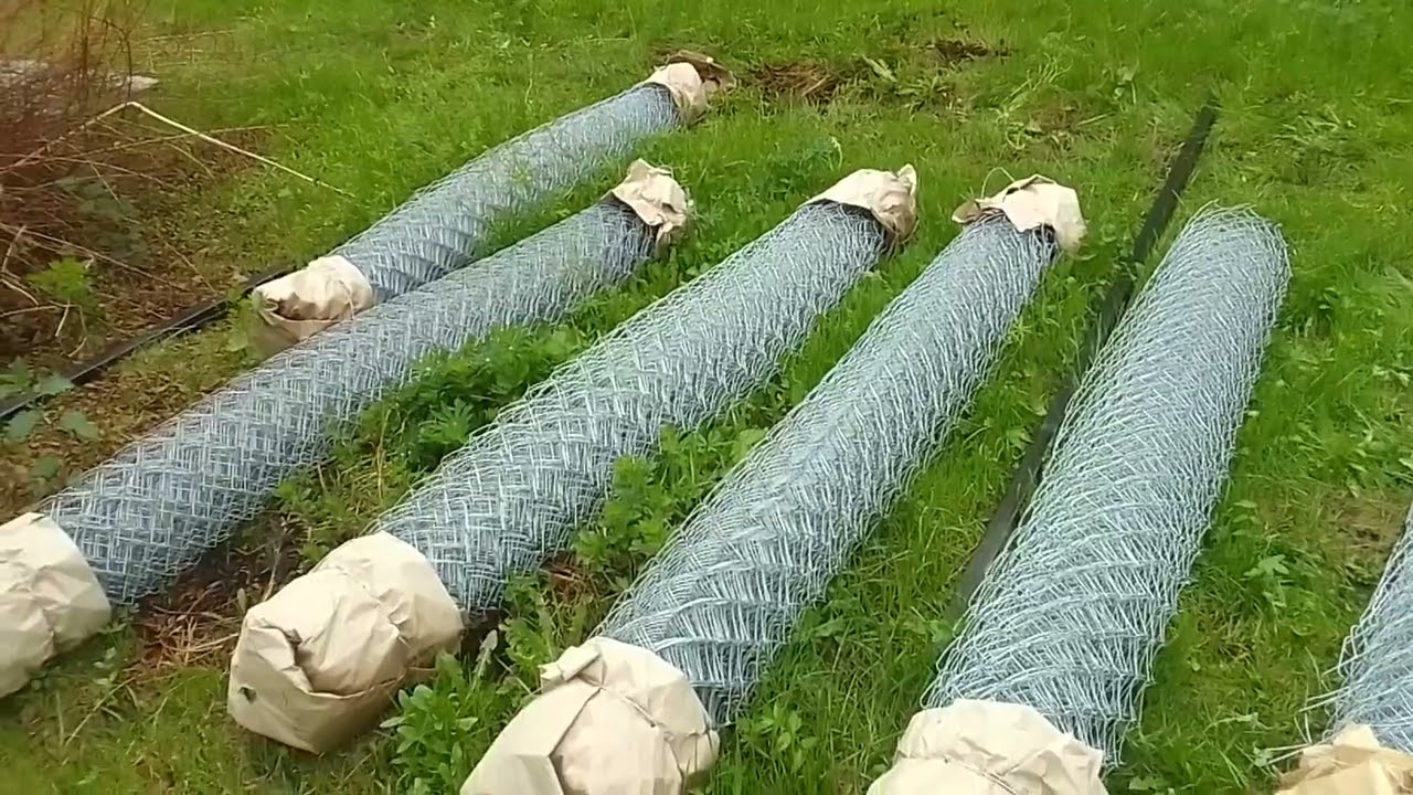 Забор из сетки-рабица своими руками одному с минимальными затратами.