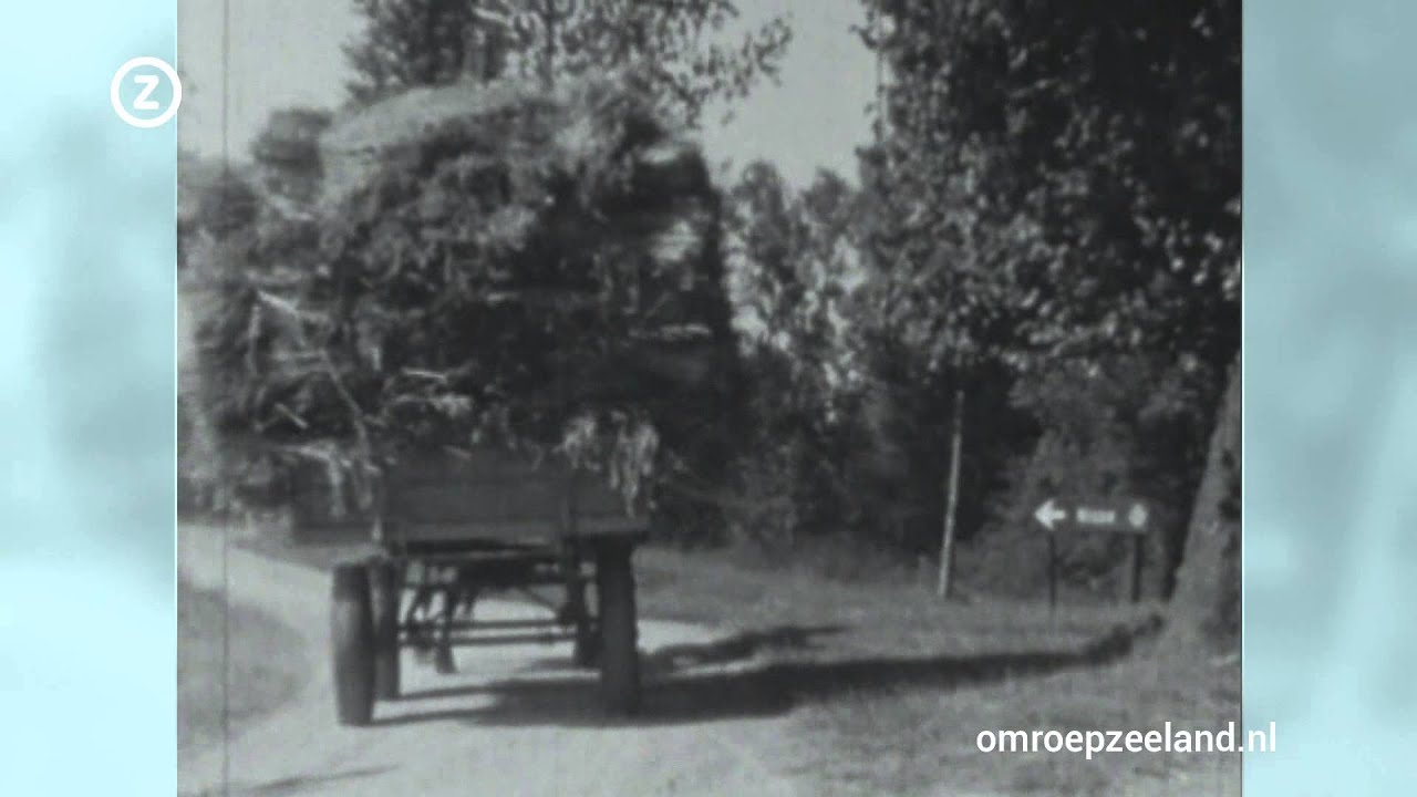 Trugkieke 25 juli 2014: Oogsten in Zeeland