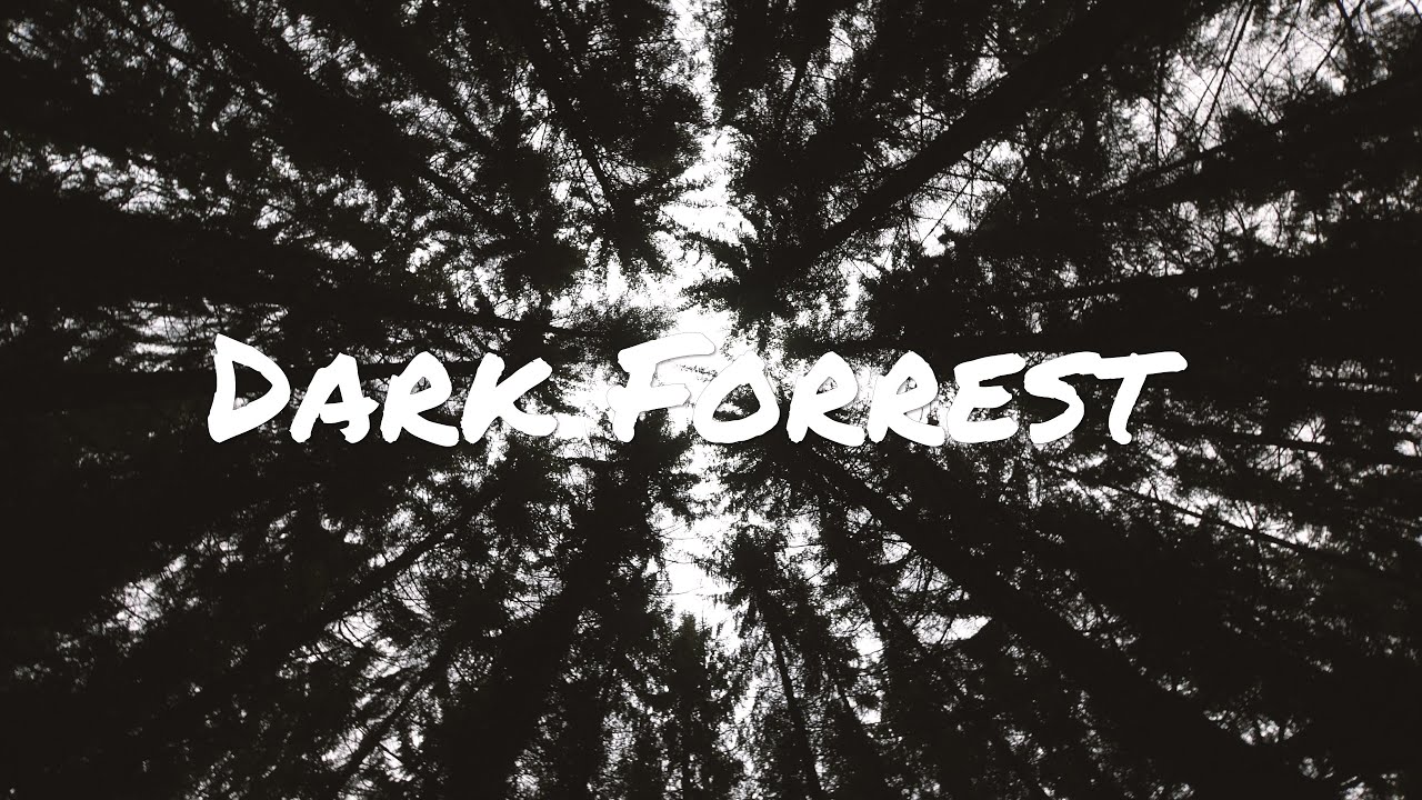 Mystical dark forest in 4k -  Lars Kliewer (Viking style)