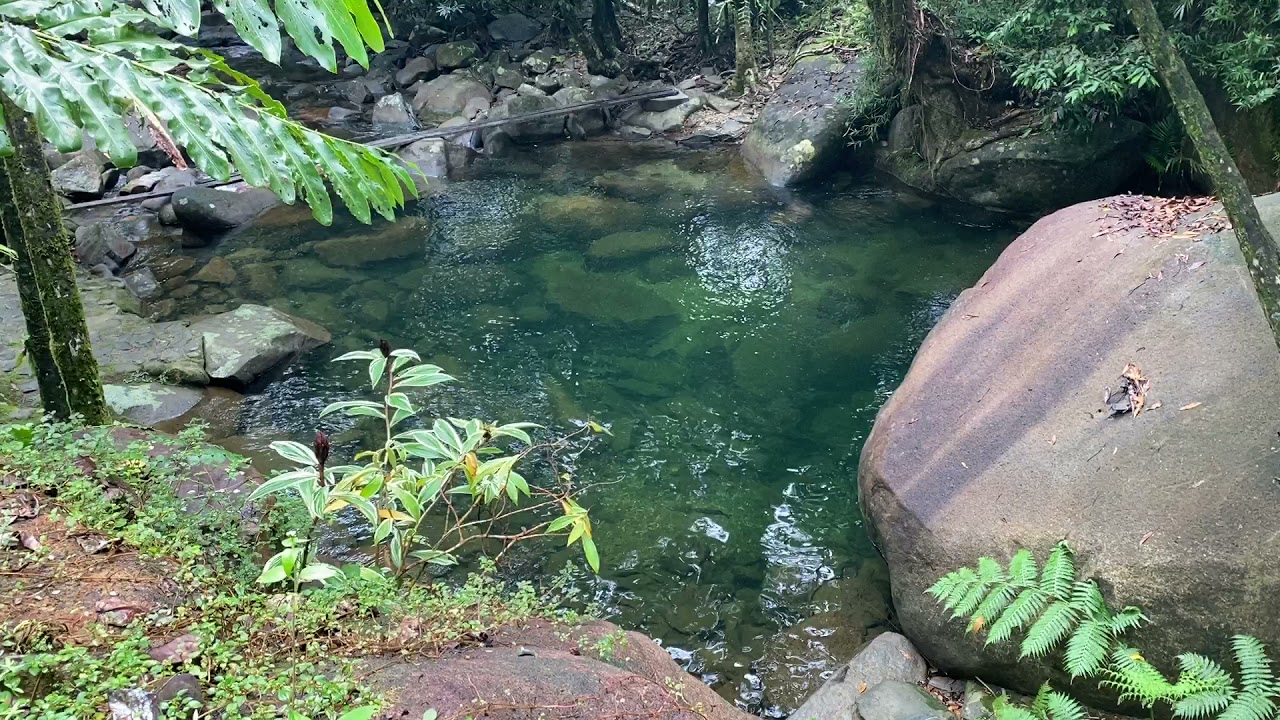 Our crystal clear swimming pool from the sun deck at Daintree Secrets