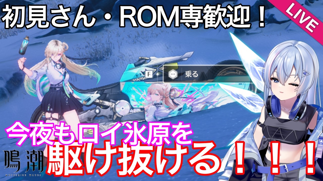 【#鳴潮 】【星声配布あり】今夜もエイメス音骸厳選のためにロイ氷原を駆け抜ける【#wutheringwaves 】【#ぶいきゃす杯 】【#PR 】