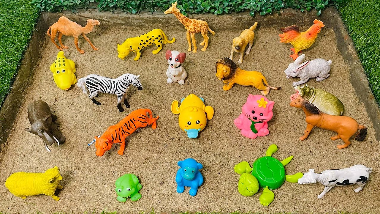 How BIG Are Wild Animals? 🐘 | A GIANT Animal Adventure for Kids!