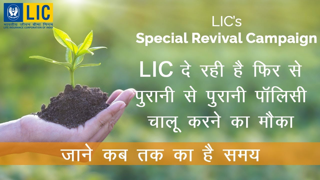 LIC Special Revival Campaign 2021 | LIC Policy Revival | LIC Launched Special Revival |Money Mantras