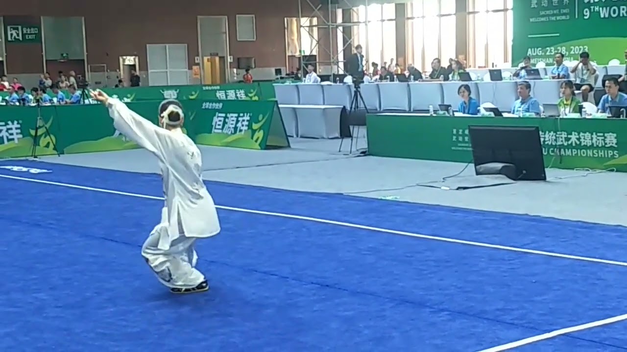 Chen Taiji 49 Sword performance from 2023 World Kungfu Championships