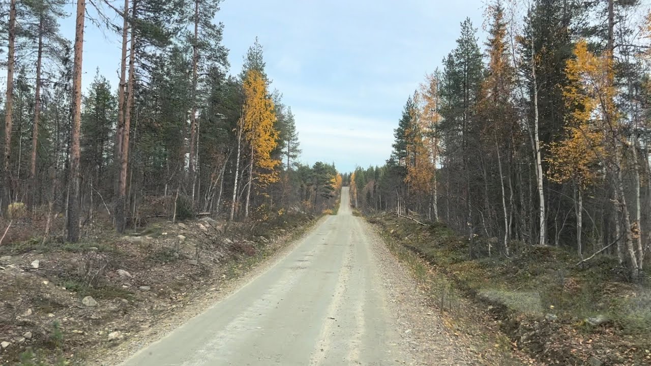 Sora lentää Pokan tiellä!