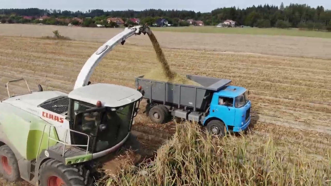 Siláže kukuřice 2024, Claas Jaguar 950, Liaz Škoda 706 MTSP