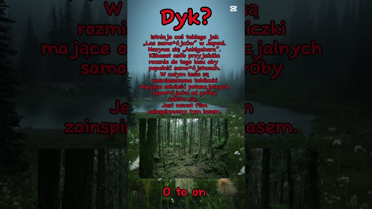 Dyk? #dyk #las #samob&oacute;jstwo #straszne #wybijsię ib:Google ;) chcecie inną specjalna his o tym lesie?