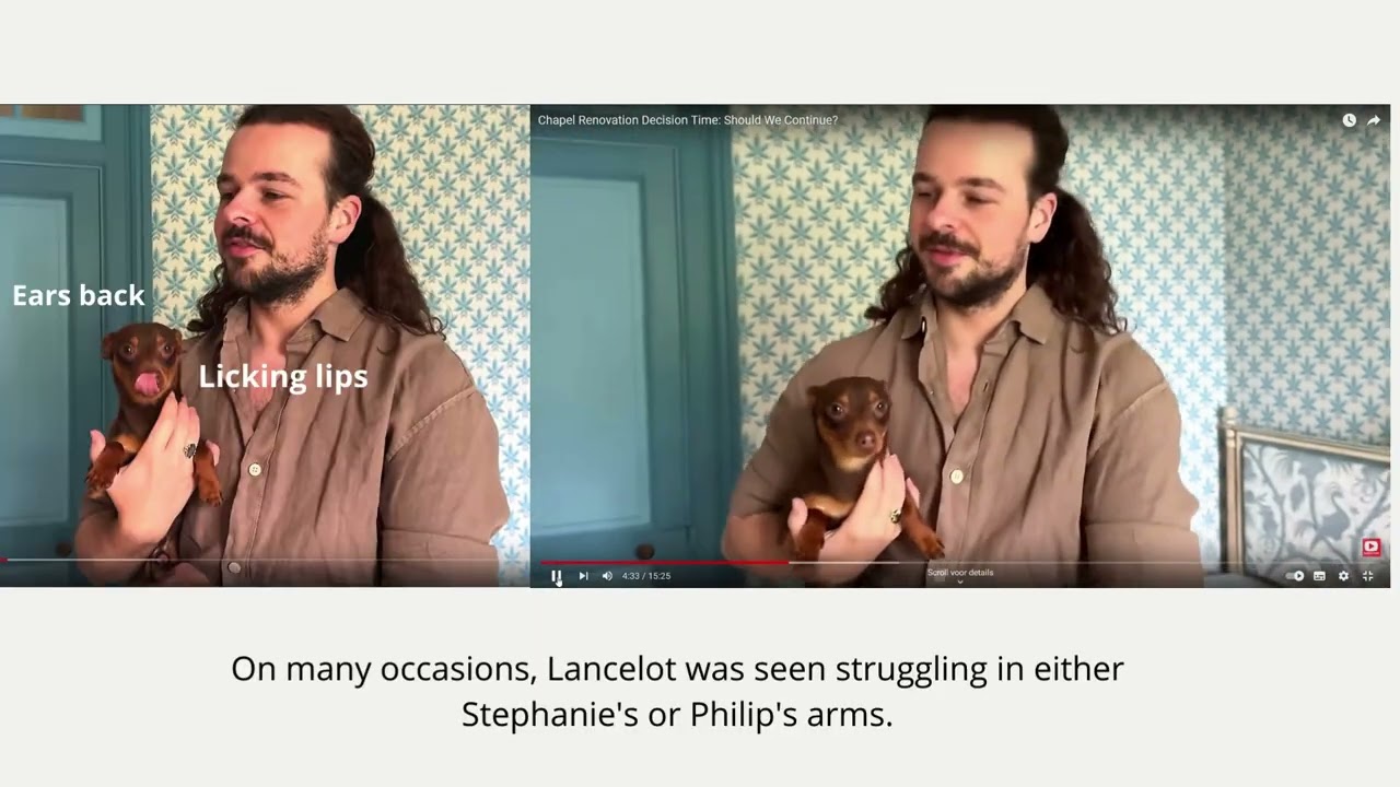Why The Chateau Diaries should never own a dog again