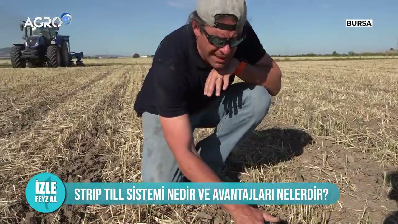 Strip Till Sistemi Nedir ve Avantajları Nelerdir ?