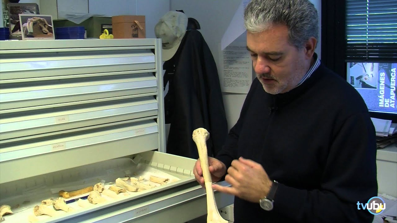 Atapuerca: El estudio de la Paleontología en la UBU. Capítulo VI