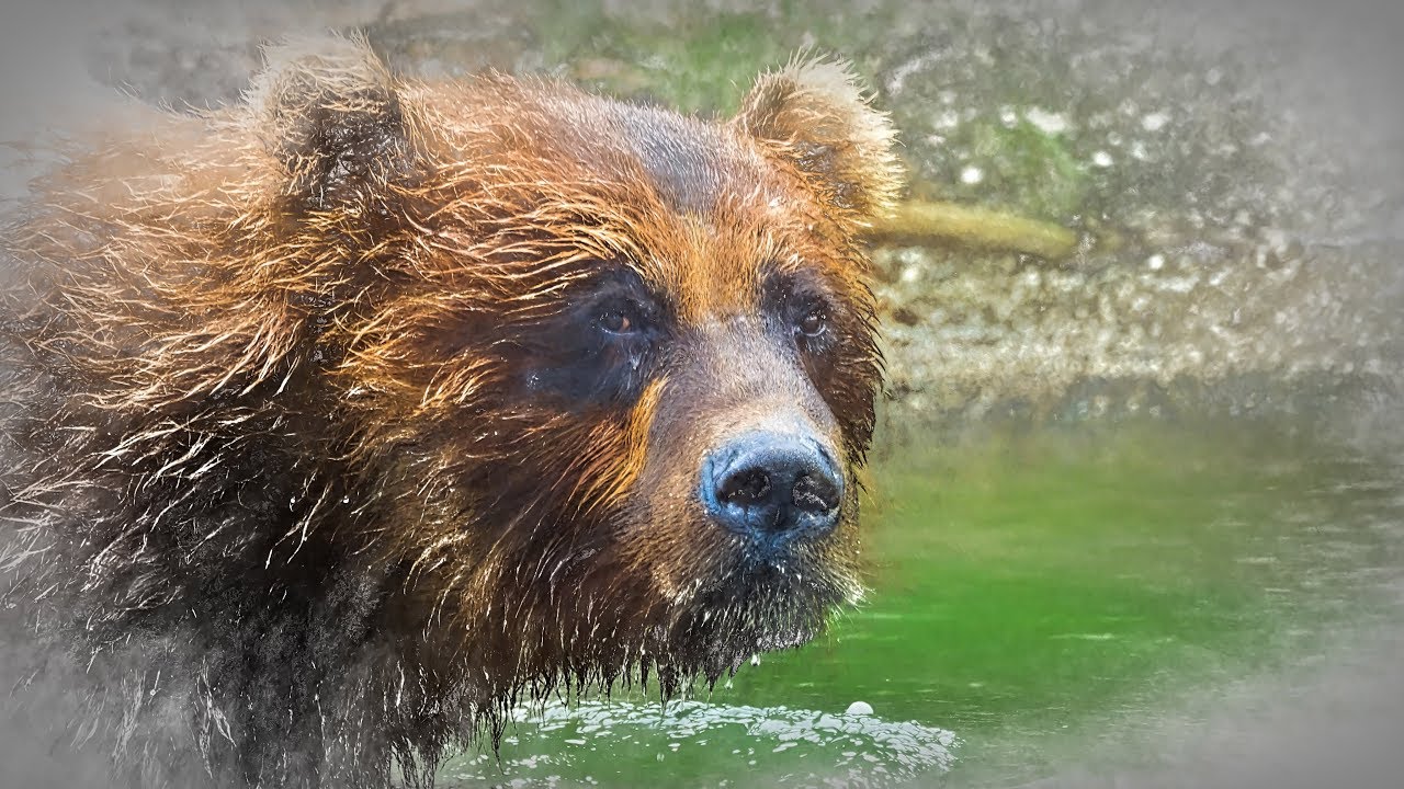 Russia 2017, Kamchatka, Kuril Lake