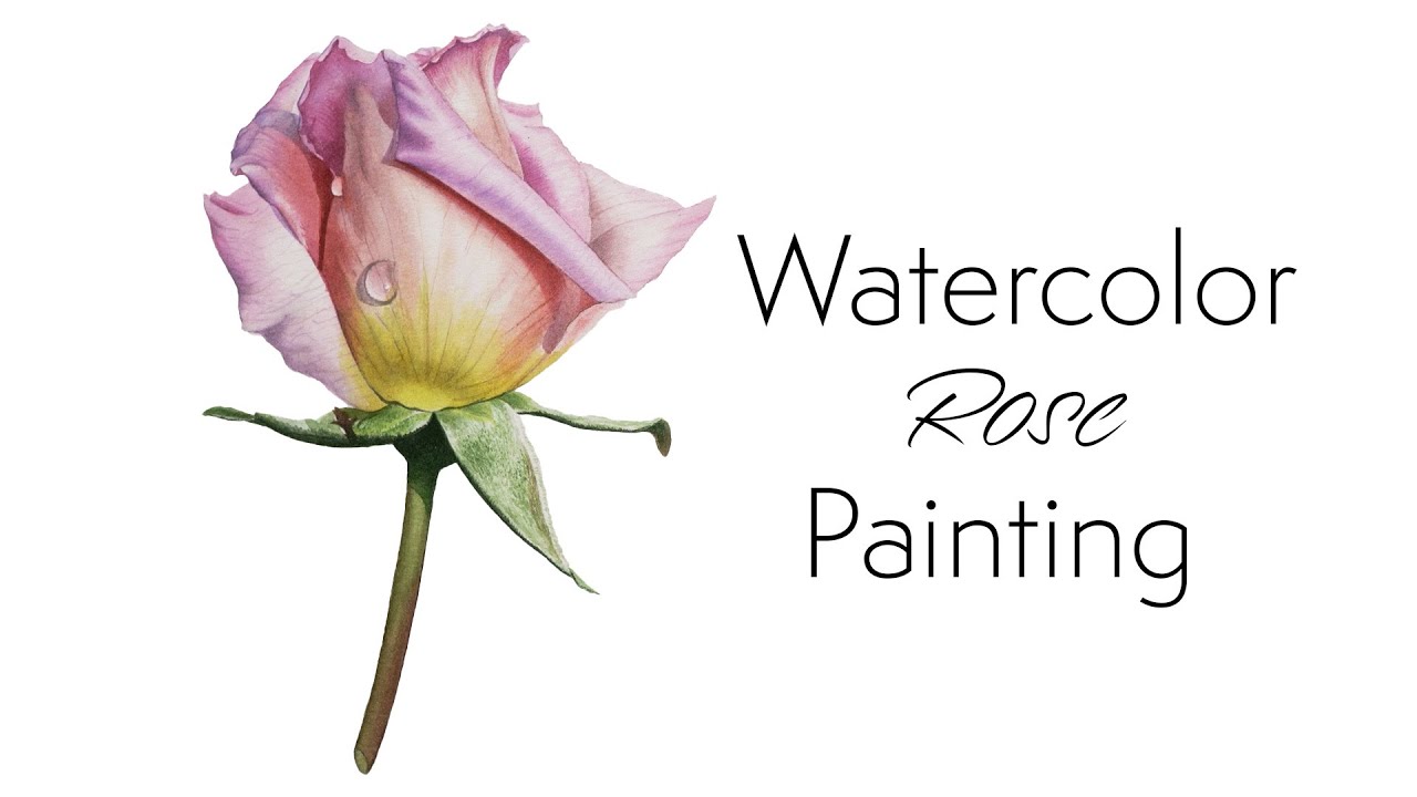 Watercolor Rose painting | Paint with me | Realistic painting | Relaxing painting 🖌