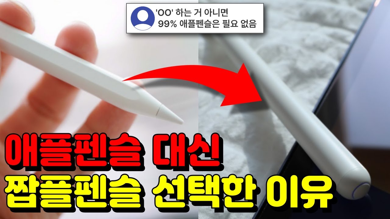 짭플펜슬 3개월간 사용 해보고 느낀점, 애플펜슬 굳이 필요 없겠는데? 짭플펜슬추천