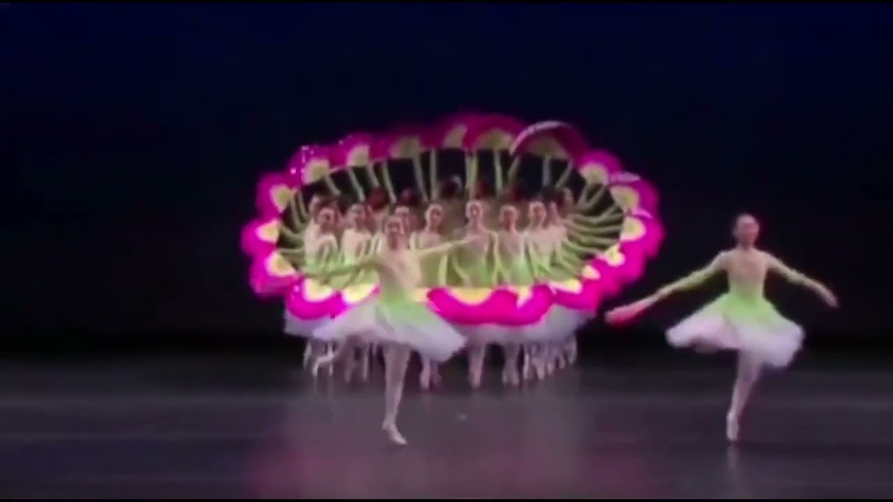 𝑴𝒂𝒓𝒄 𝑨𝒓𝒚𝒂𝒏  ( 𝒍𝒆𝒔 𝒗𝒊𝒐𝒍𝒐𝒏𝒔 𝒅 𝑨𝒍𝒃𝒊 )