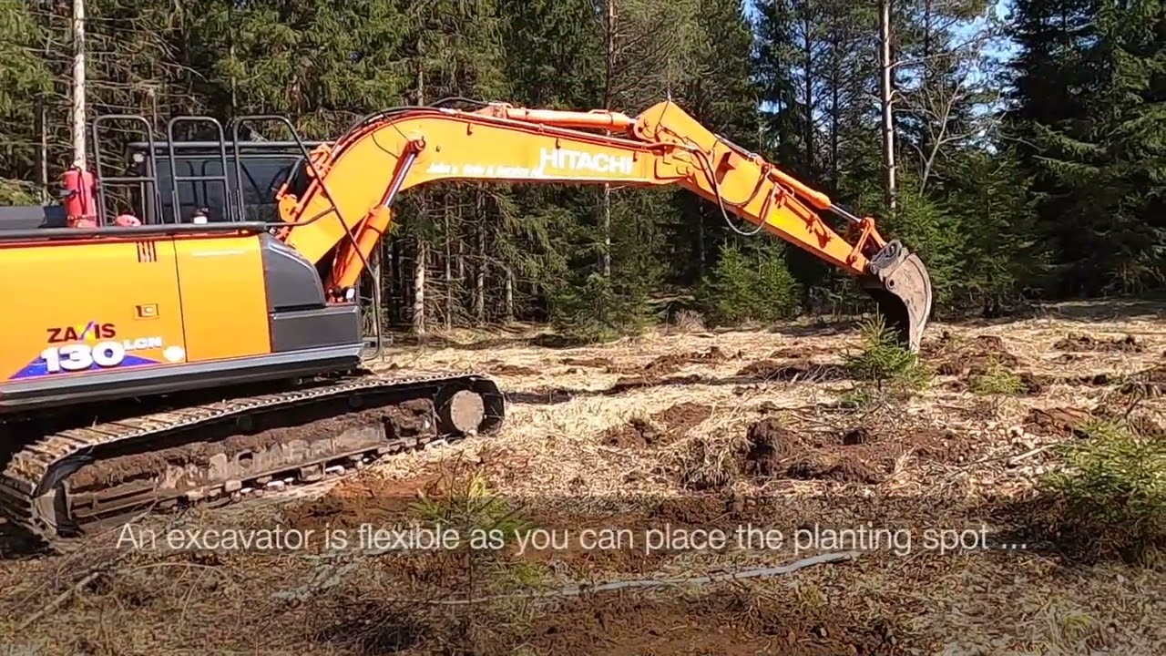 Soil preparation with different types of scarification