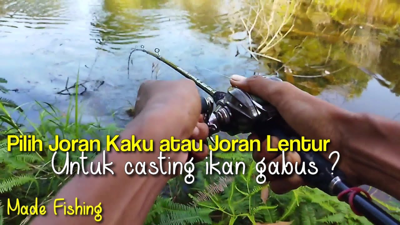 Joran Kaku vs Joran Lentur untuk Casting Ikan Gabus || Test joran kenzi brenio xt ca702 8-17lb