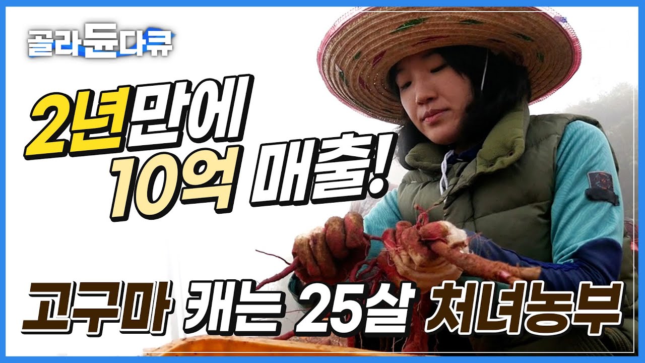 부모님의 고구마 사업실패 빚 5억을 ‘단 2년만에 두배’로 수익을 올린 딸|전국 경매장 최고가, 연일 완판행렬! | 과연 사업성공의 비결은 무엇일까? | #골라듄다큐