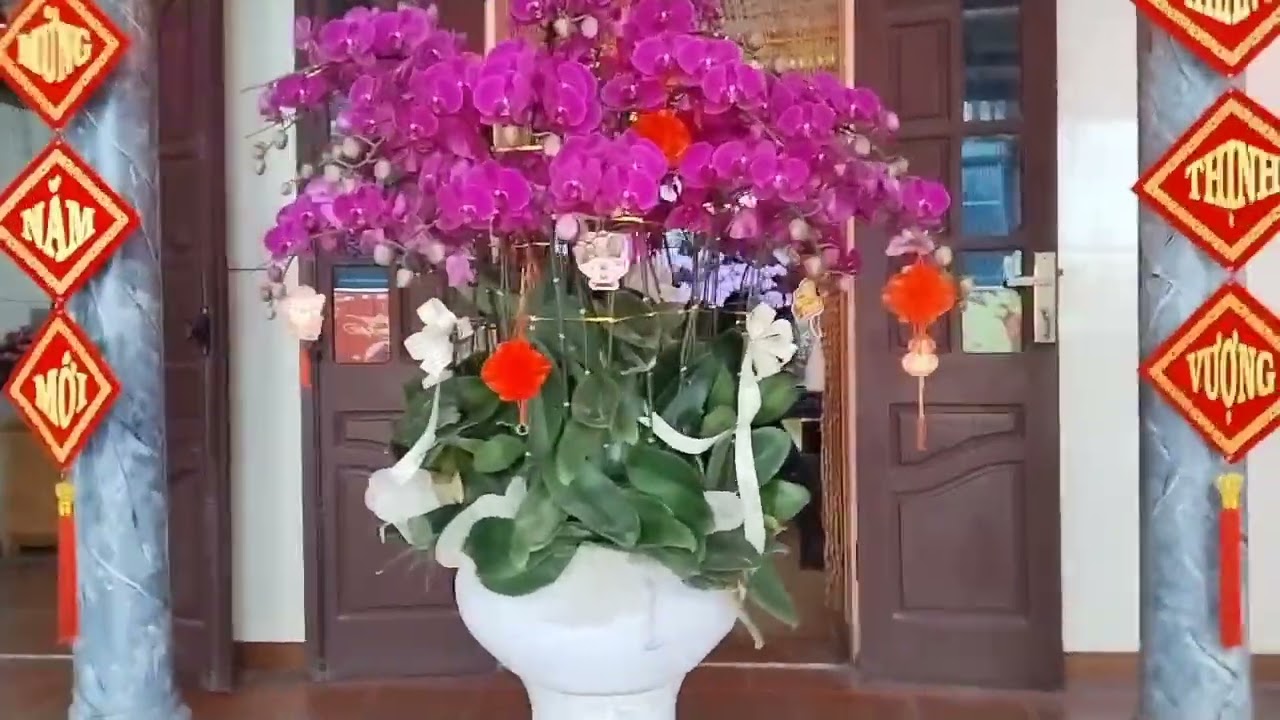 Những ngày để nhớ của Văn Mạnh Cao.