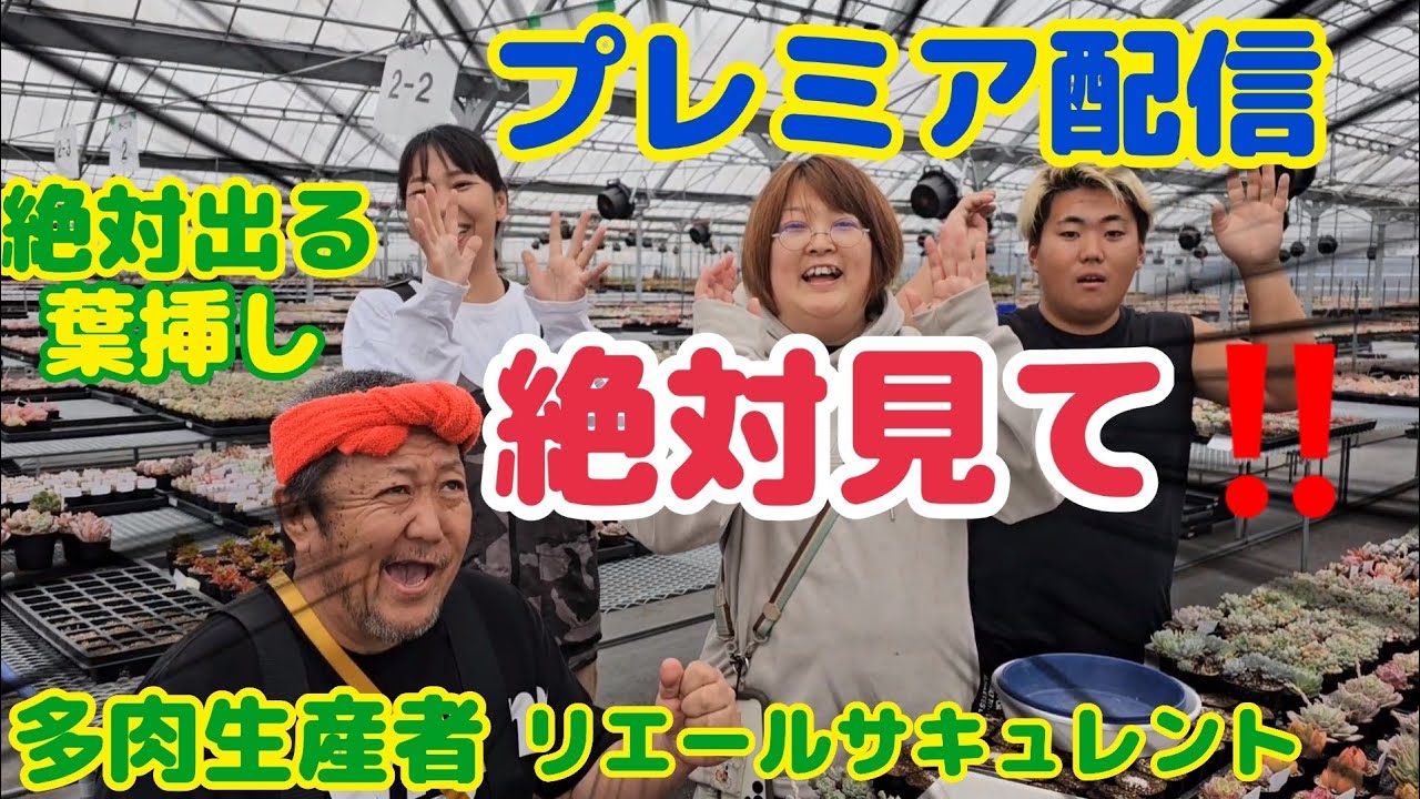 【多肉植物】【ガーデニング】絶対見て‼️プレミア配信🎶2024年3月25日
