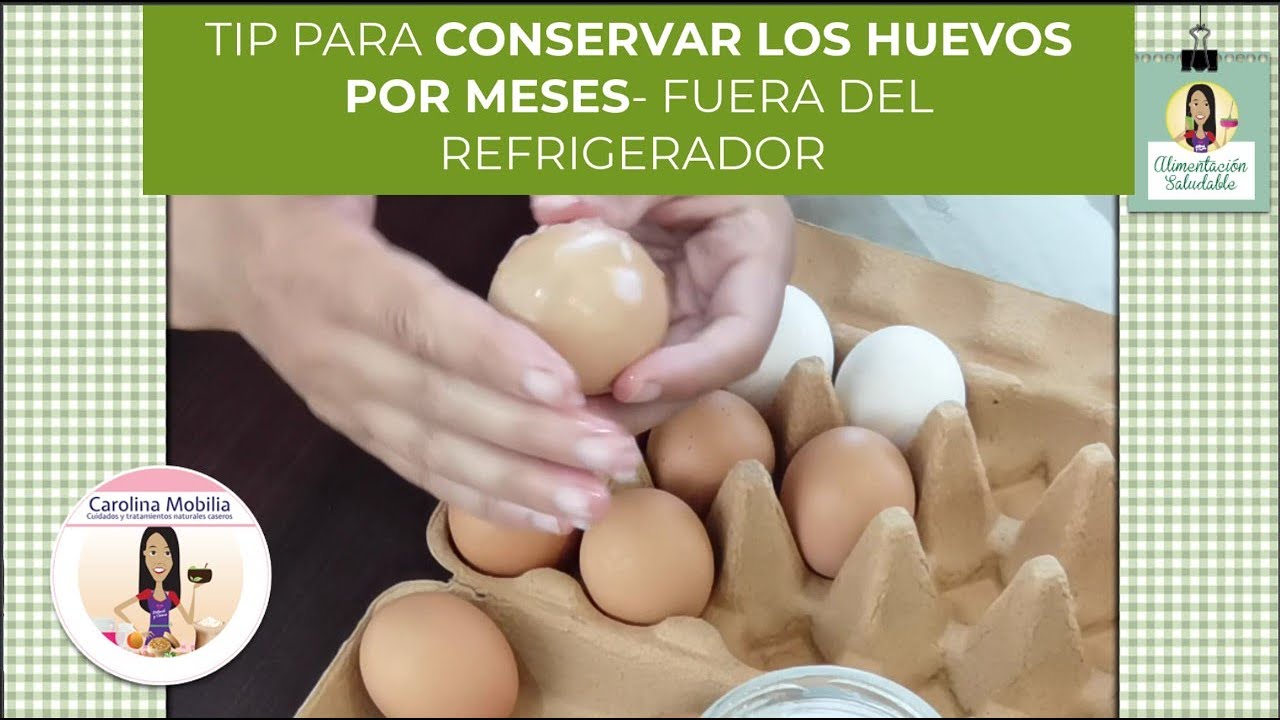 CONSERVA LOS HUEVOS POR MESES, FUERA DE  LA NEVERA ,CON ESTE  TIP