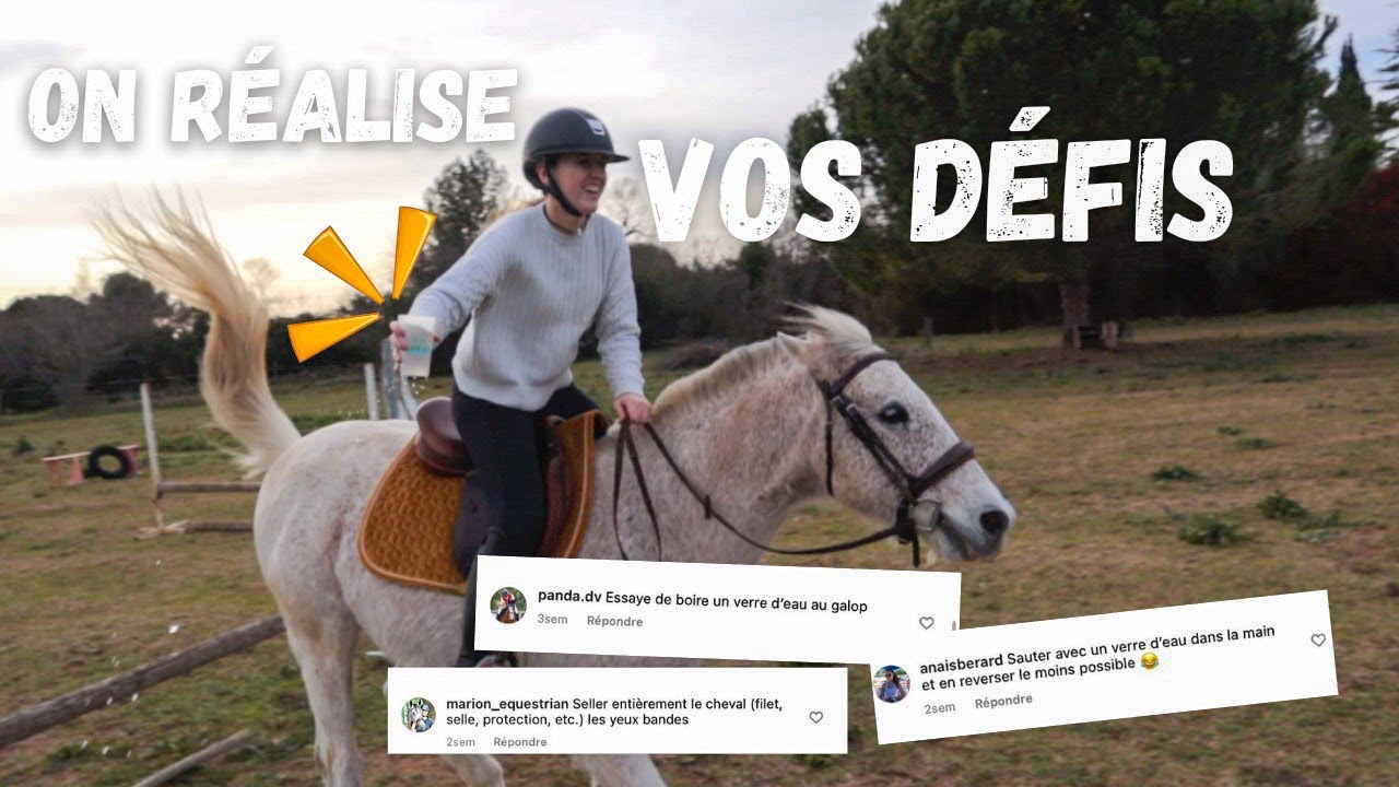 ON RÉALISE VOS DÉFIS AVEC MES CHEVAUX ET MON COPAIN 💪🏻