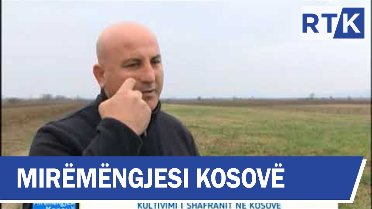 Mirëmëngjesi Kosovë - Kronikë - Kultivimi i shafranit në kosovë  29.11.2018