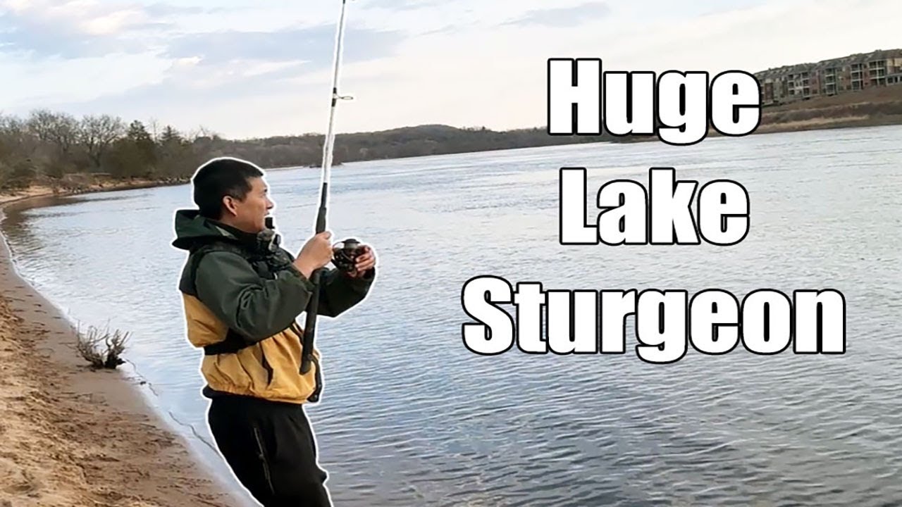 Catching HUGE STURGEON on the lower Wisconsin while fishing for spring walleyes!!