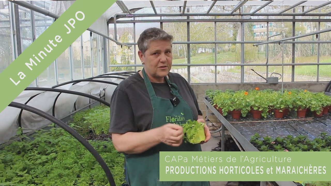 La Minute JPO Présentation des serres et du CAPa Productions Horticoles et Maraichères