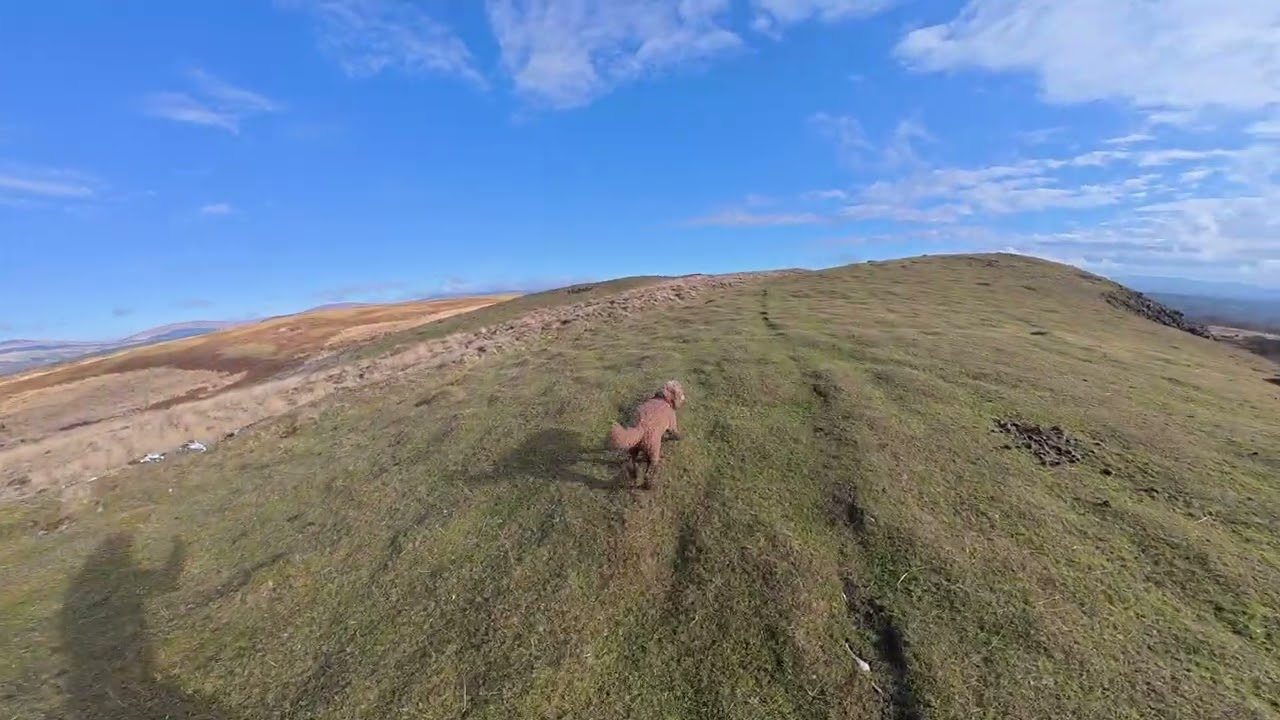 Moel Penderyn