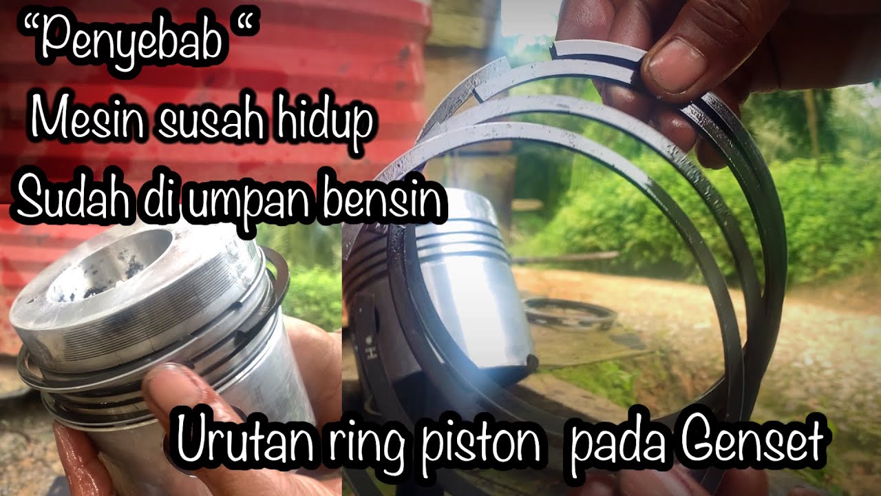 Cara pasang ring piston dan metal mesin Genset TS230 |  YANMAR