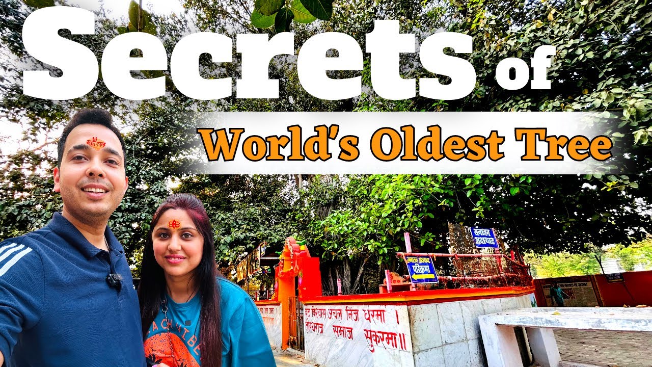 Discover the SECRETS of the World's OLDEST Tree Akshayvat Temple | Places To Visit In Prayagraj