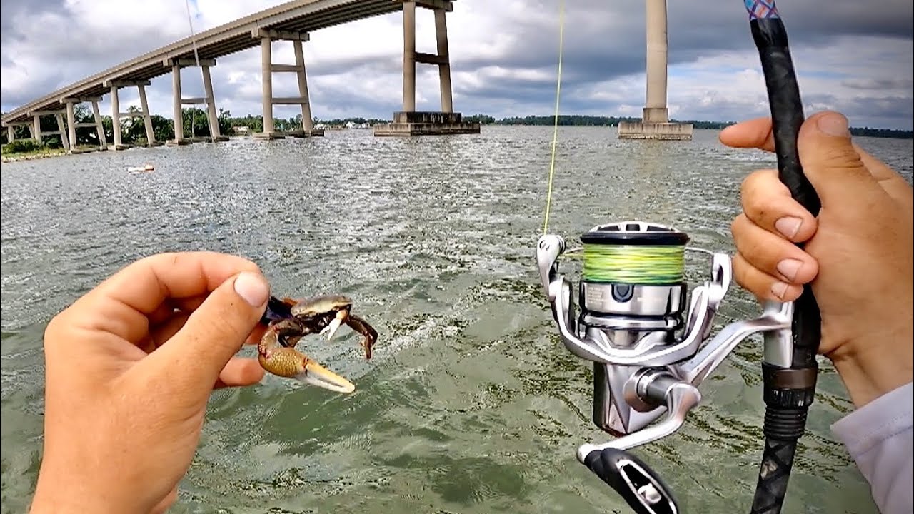 PERFECT Summer Bridge Baits! (Hot Bite)