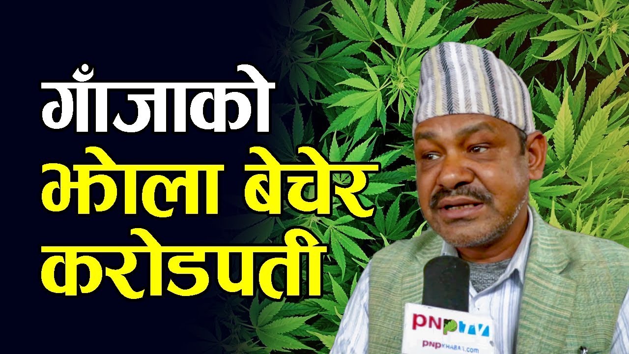 बुबाको १२० रुपैयाँ चोरेर काठमाडौँ छिरेका गणेश गाँजाको ब्याग बेचेरै करोडपती