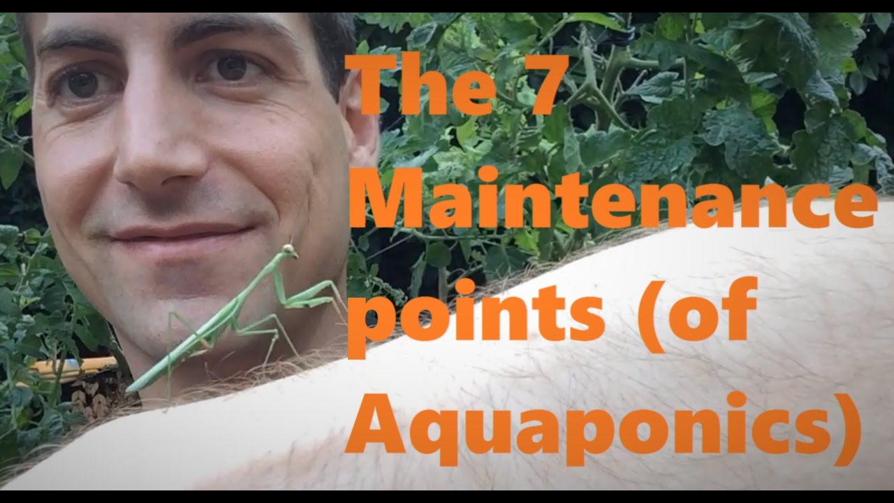The 7 Maintenance points of Aquaponics