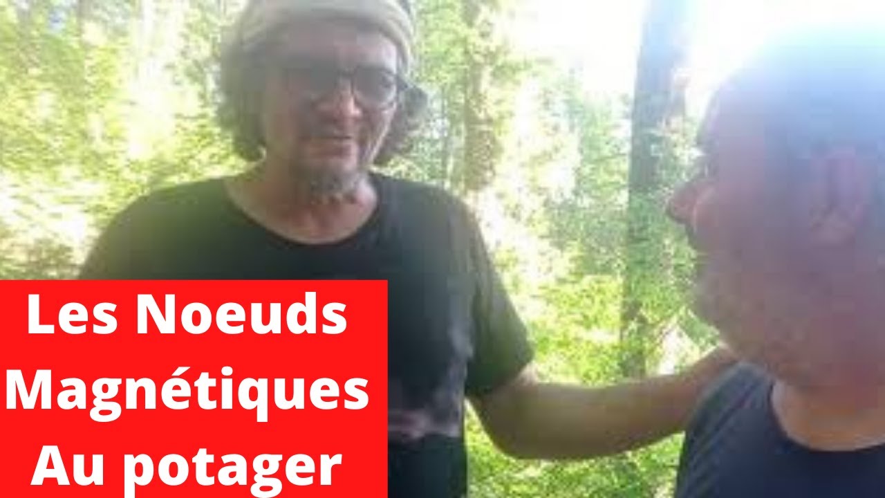 Champs électromagnétique au potager . Les Nœuds magnétique , ont ils une influence sur nos légumes