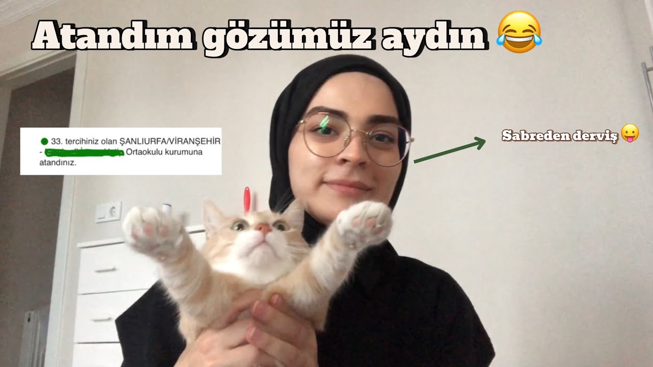 Mülakattan sonrası 🦧 