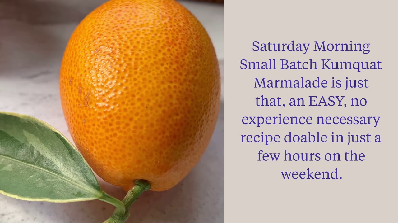 Saturday Morning Small Batch Kumquat Marmalade