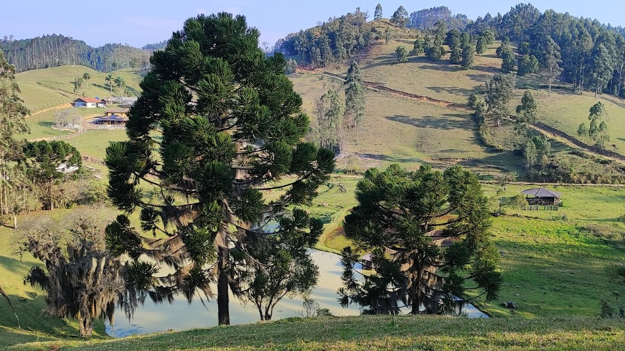 VENDO • Terreno Rural em Anitápolis SC - 10 hectares
