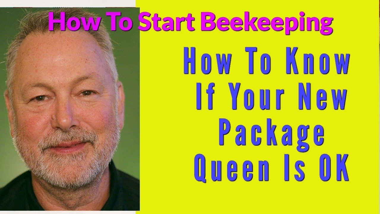 Beekeeping | How To Know If Your New Package Queen Is Okay In The Hive